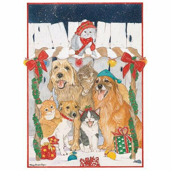 Pipsqueak Productions Mix Dog With Cat Holiday Boxed Cards C471